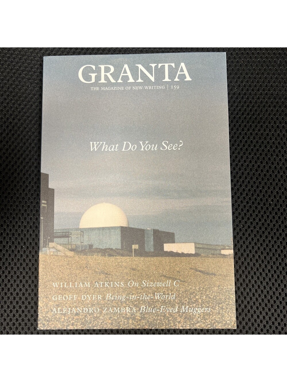 Granta 159: What Do You See?